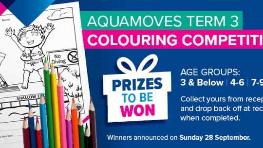 Term 3 Colouring Competition